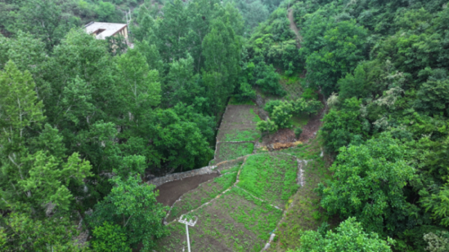 国庆反向游，选择“山那边民宿”感受田园乡居慢节奏生活